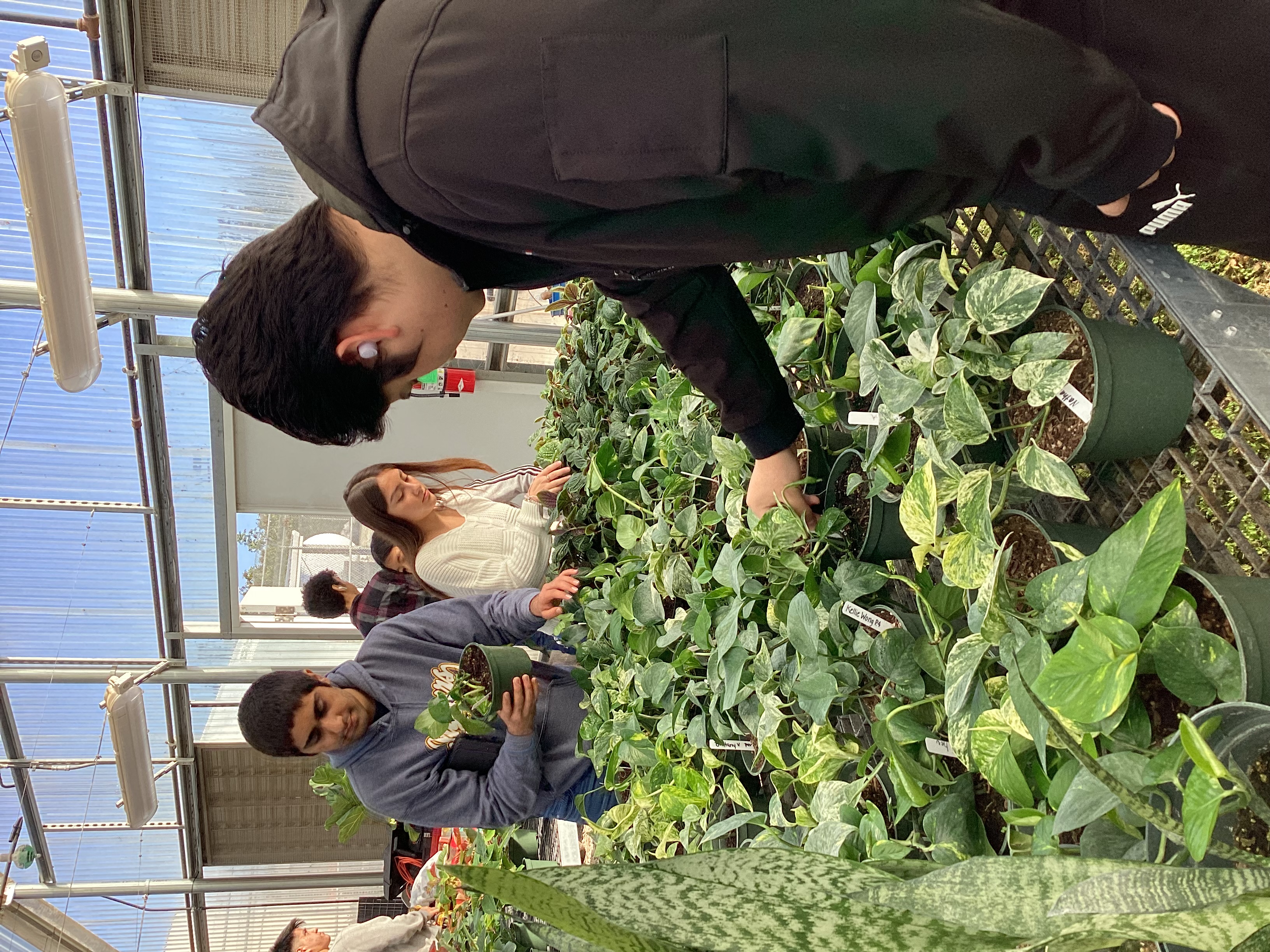 students-in-greenhouse