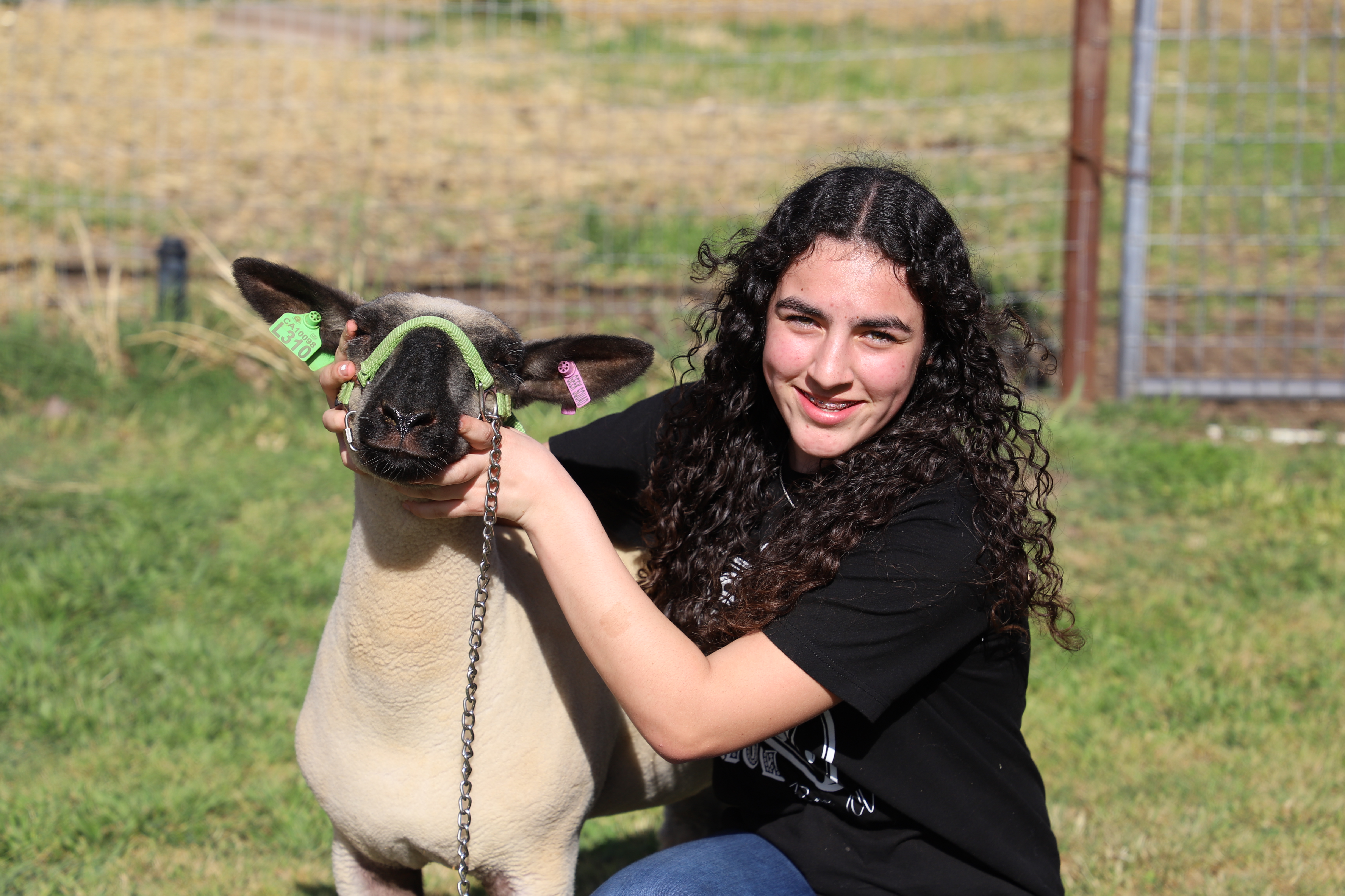 student with sheep project