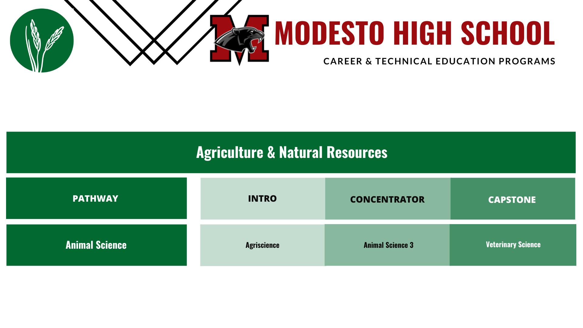 Modesto-Animal-science-pathway