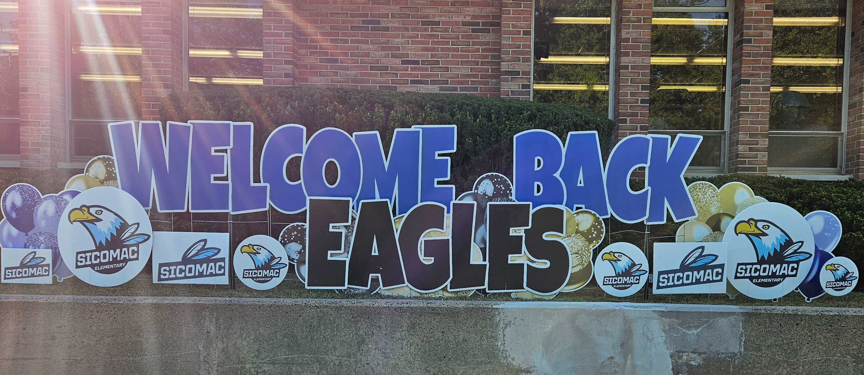Welcome back