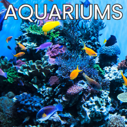 aquarium