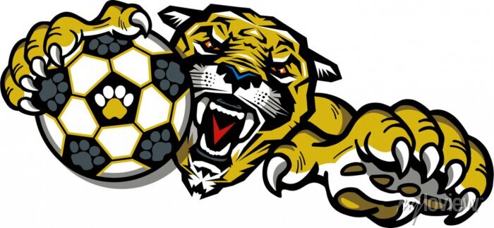 Cougar Soccer