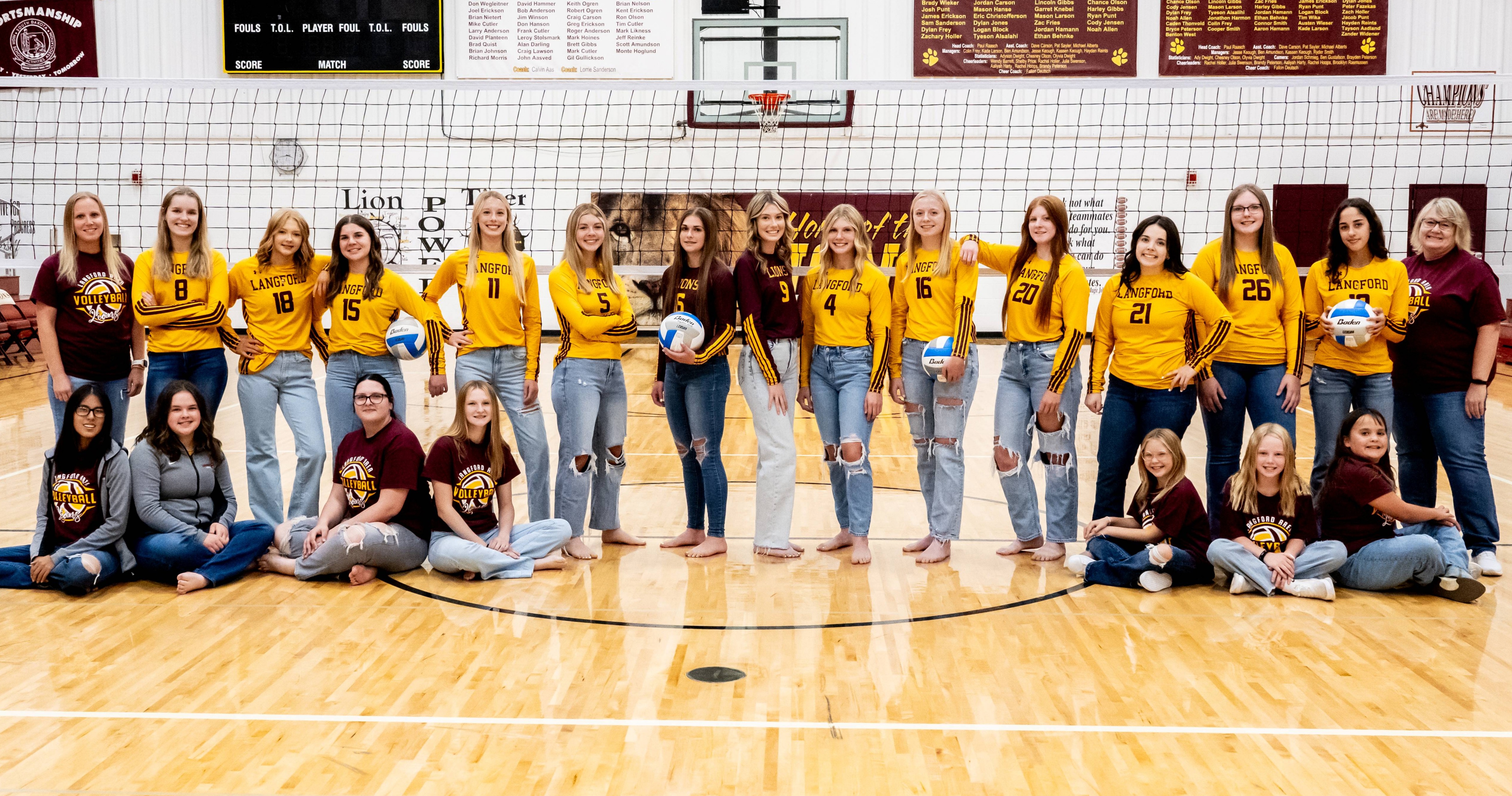 Volleyball