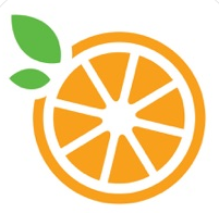 A picture of a graphic orange slice. 