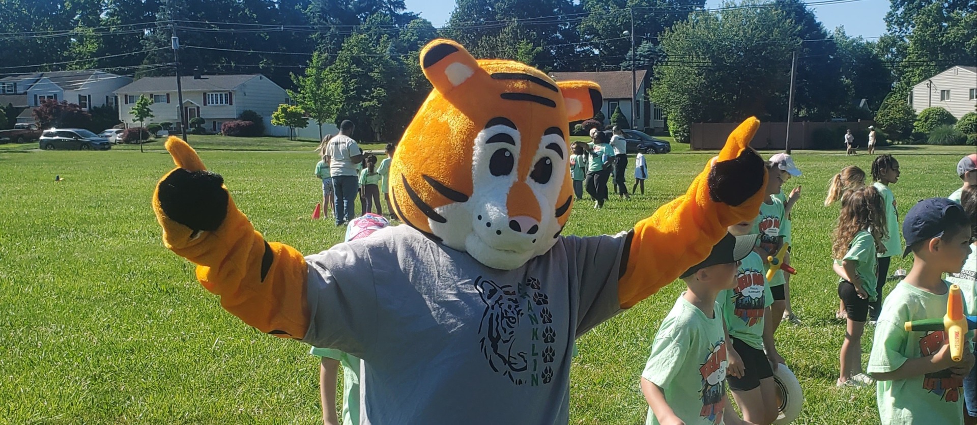 tiger