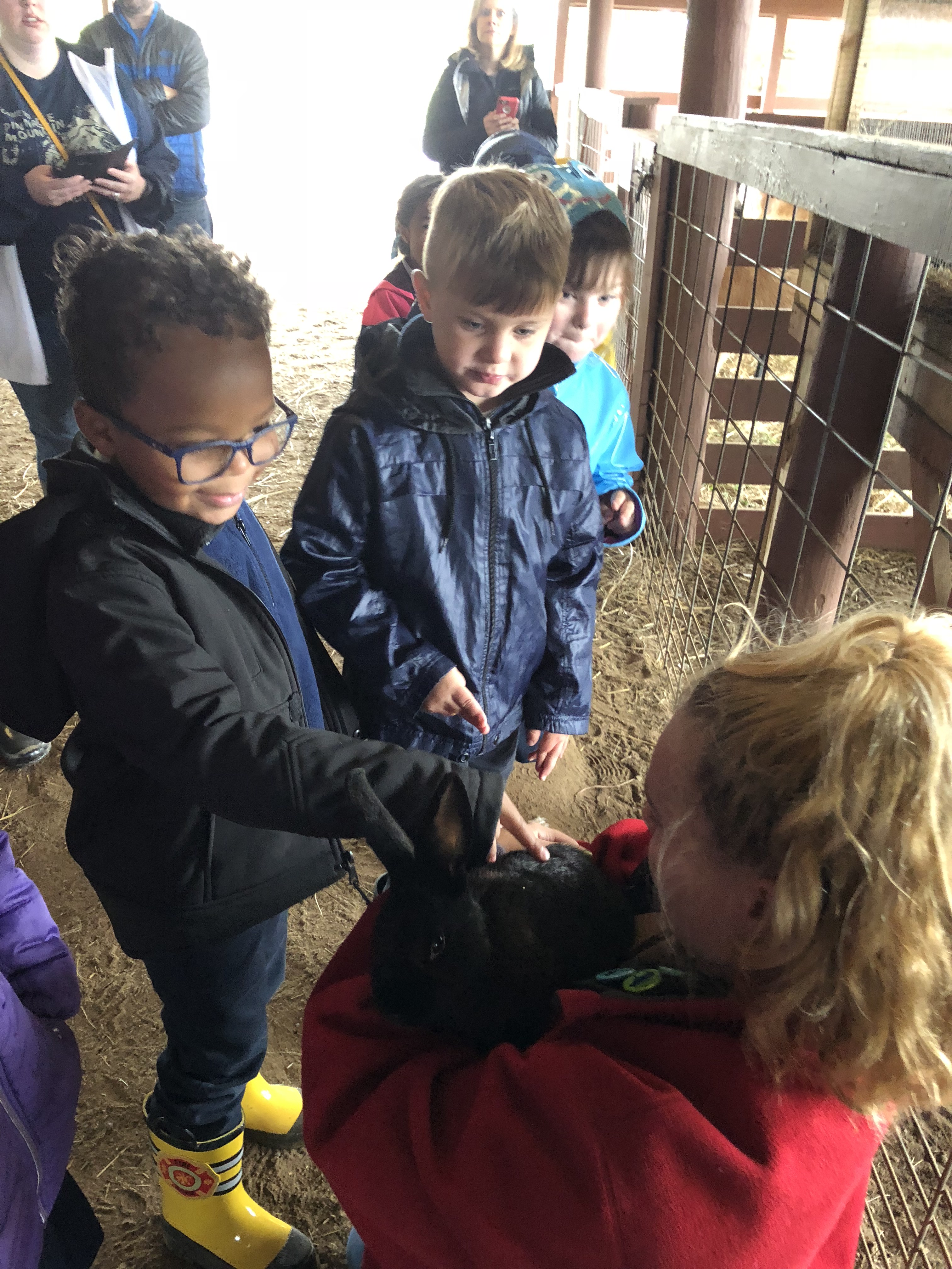 A group of children taking care of a small black bunny