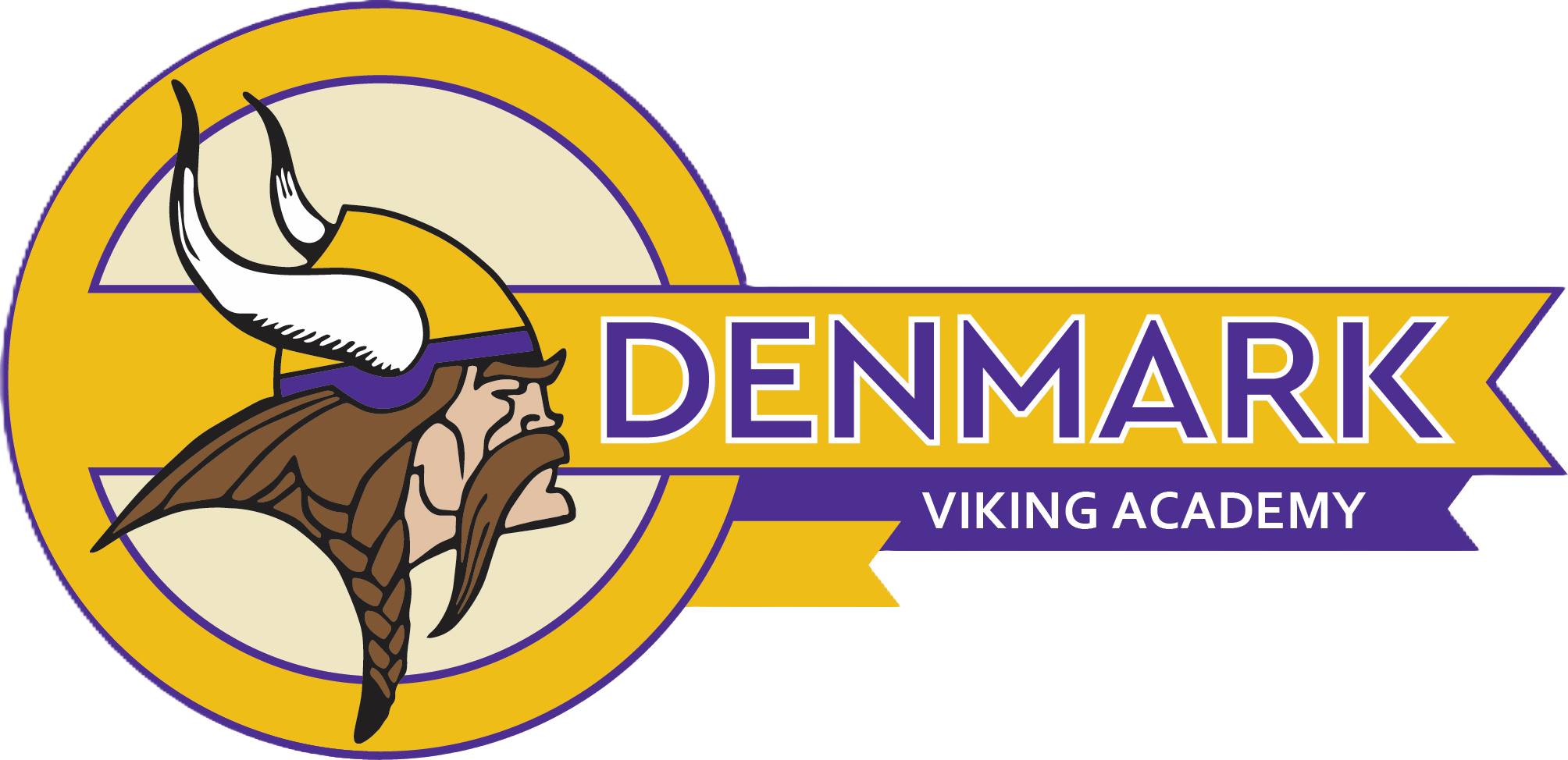 Welcome to Viking Academy