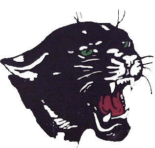 Blackcat mascot