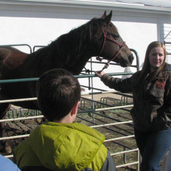  3 students listening to a volunteer speaking about a horse for BARN YARD AND FARM SAFETY DAY
