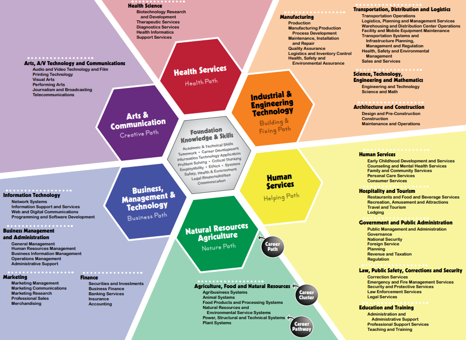 Career Pathways Infographic