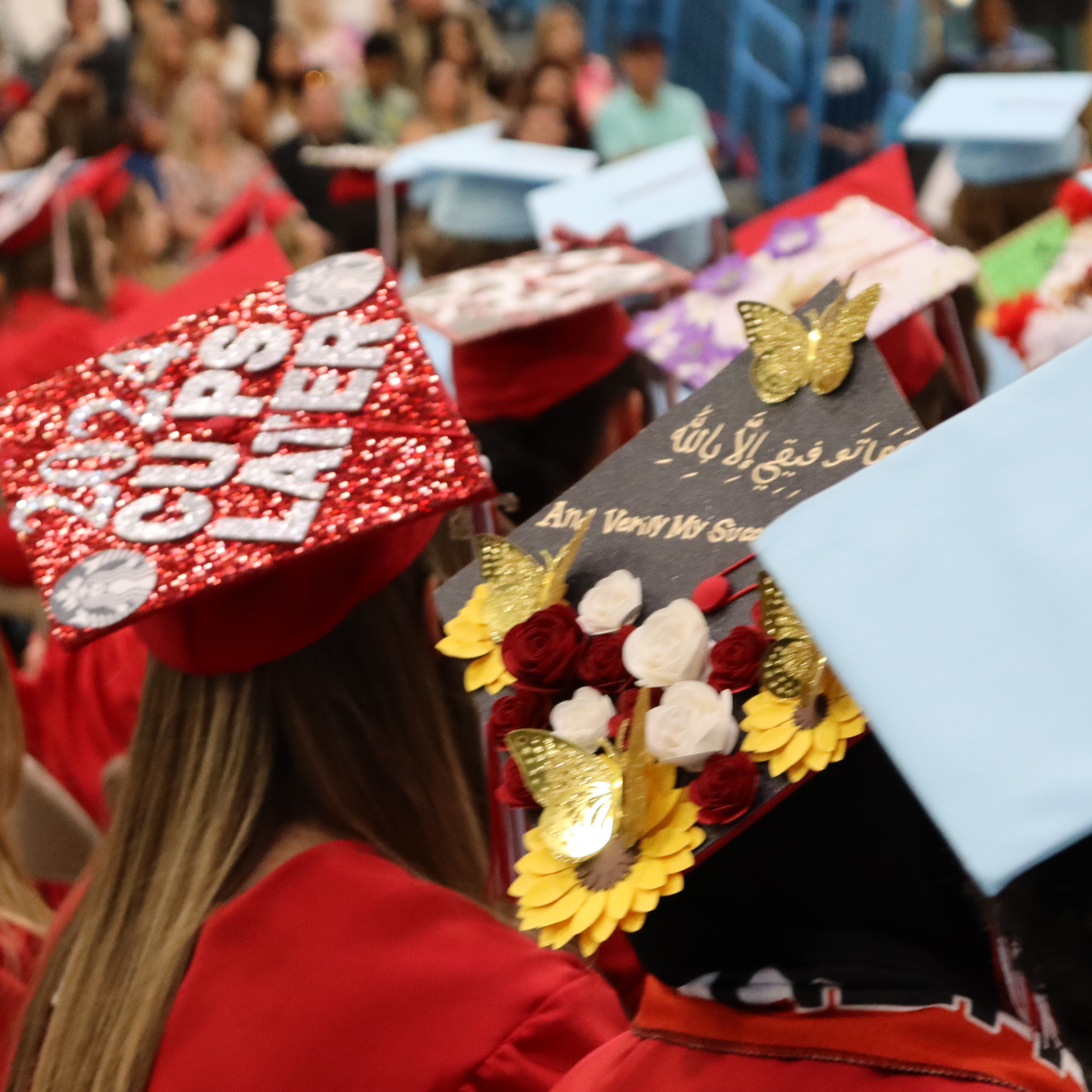 Graduation caps