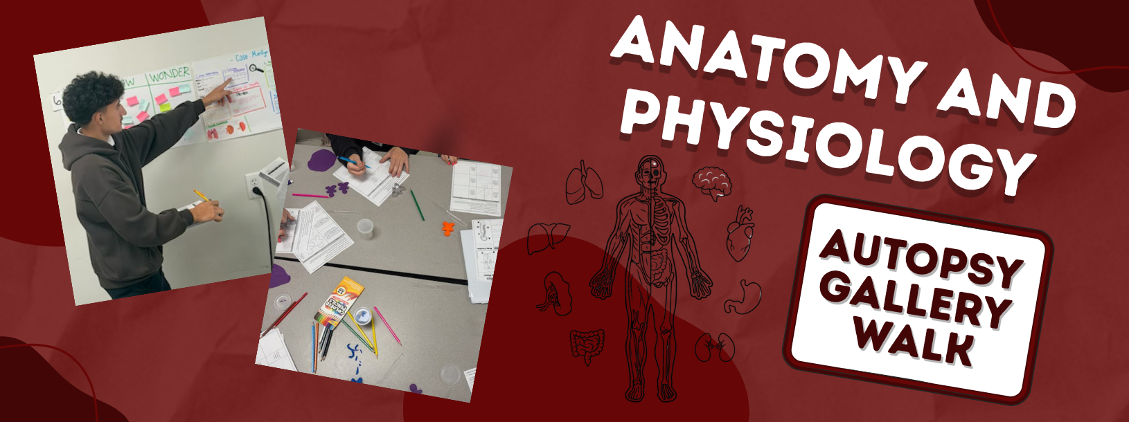 Autopsy Gallery Walk 