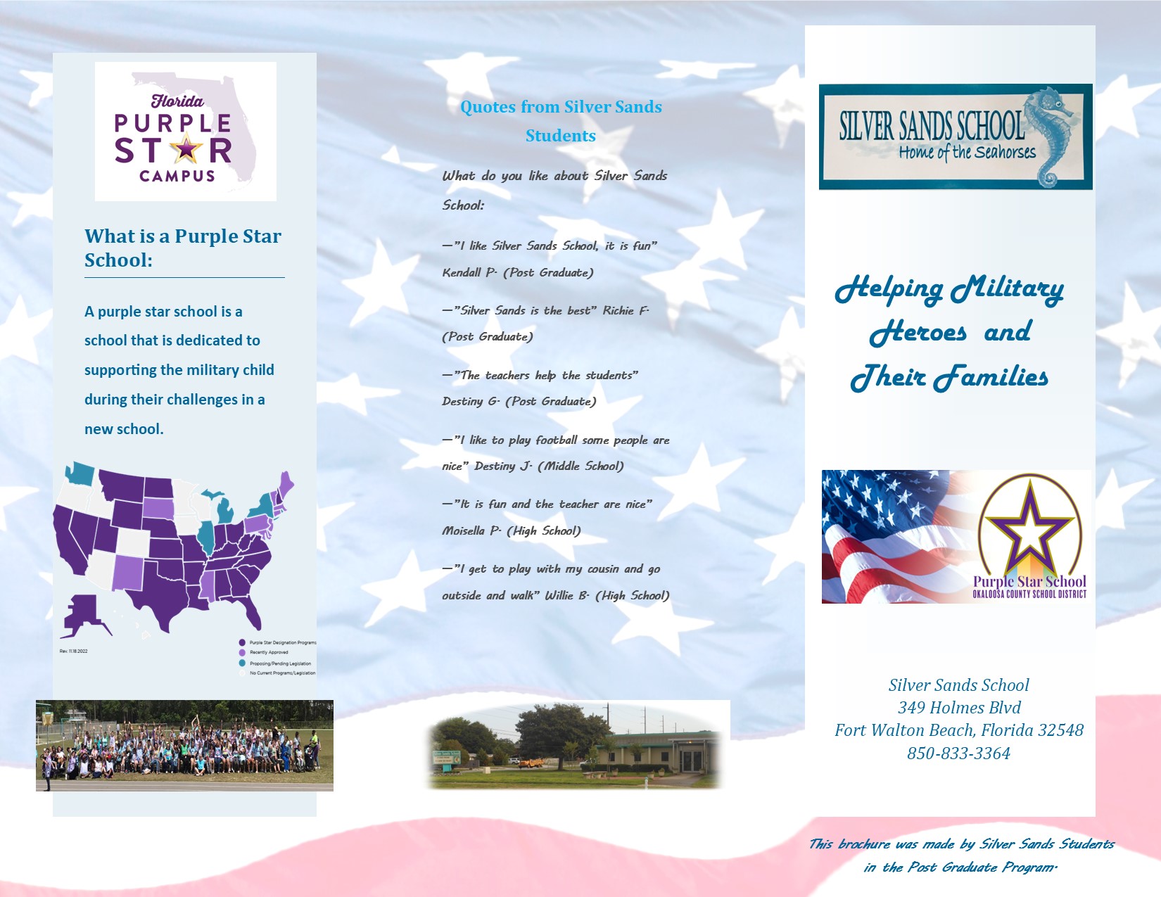 Purple Star Brochure Pg 1