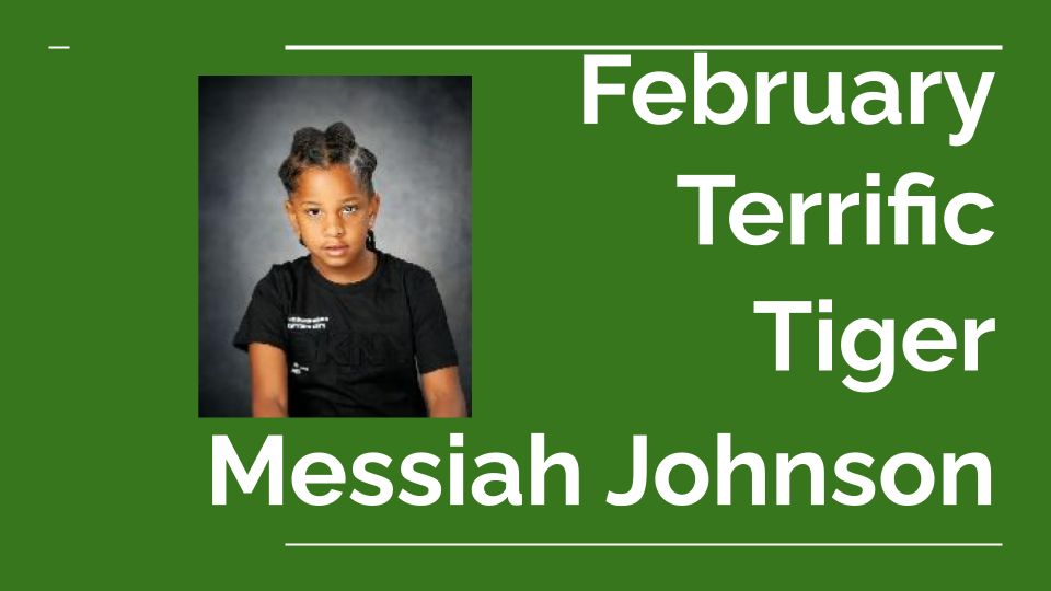 February Terrific Tiger