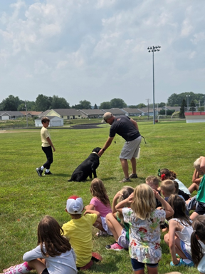 Learning how dogs are trained