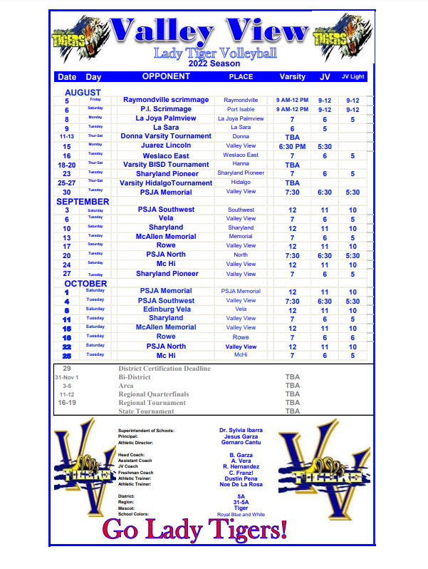 Volleyball Valley View ISD