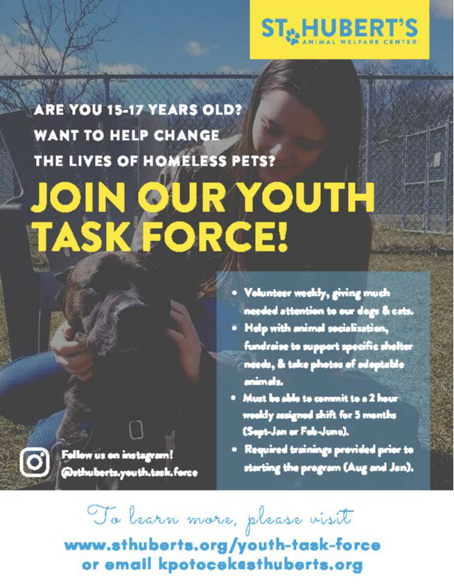 Youth Task Force
