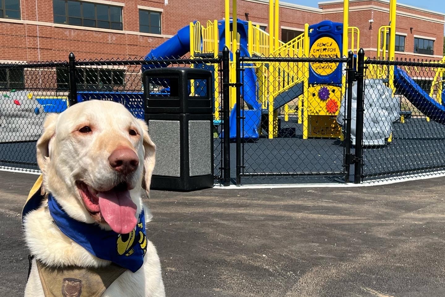 SUNNY PLAYGROUND