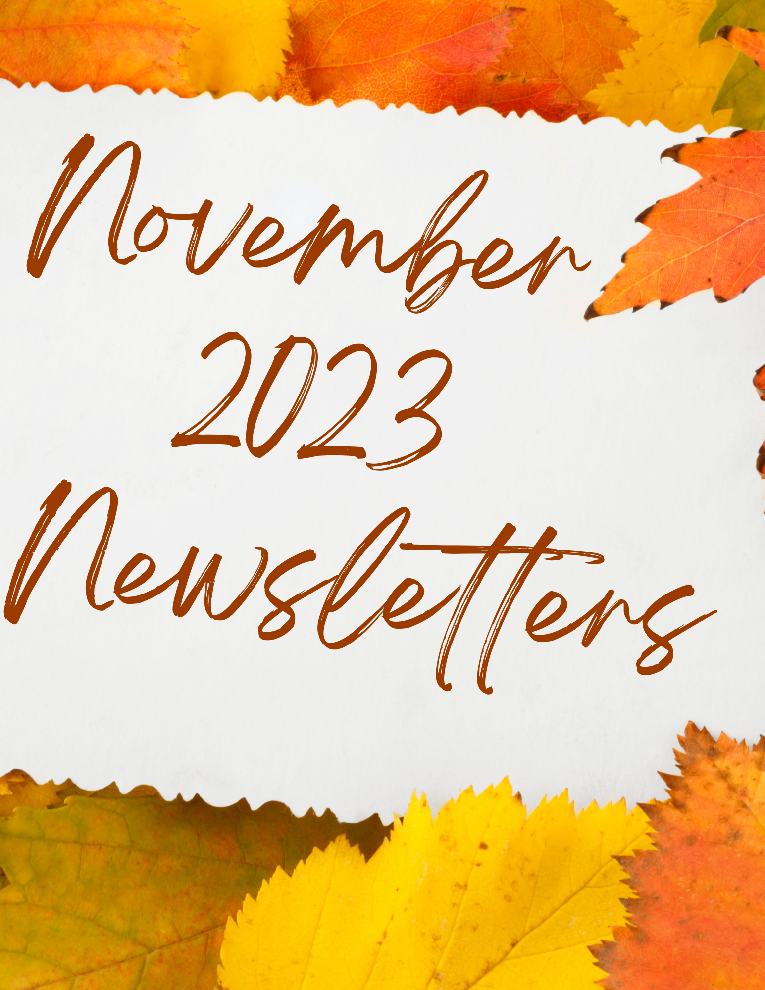 November Newsletters
