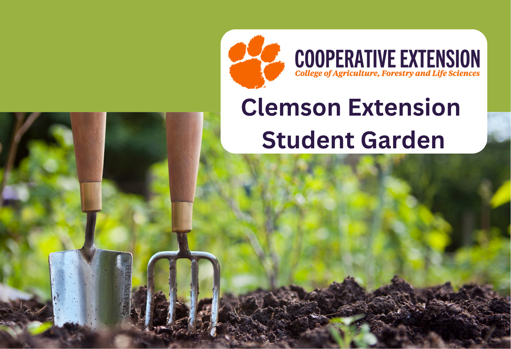 Clemson Extension Student Garden