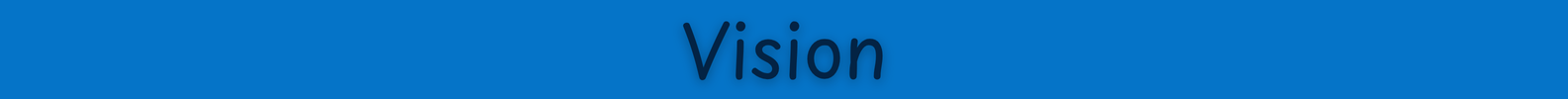 Vision