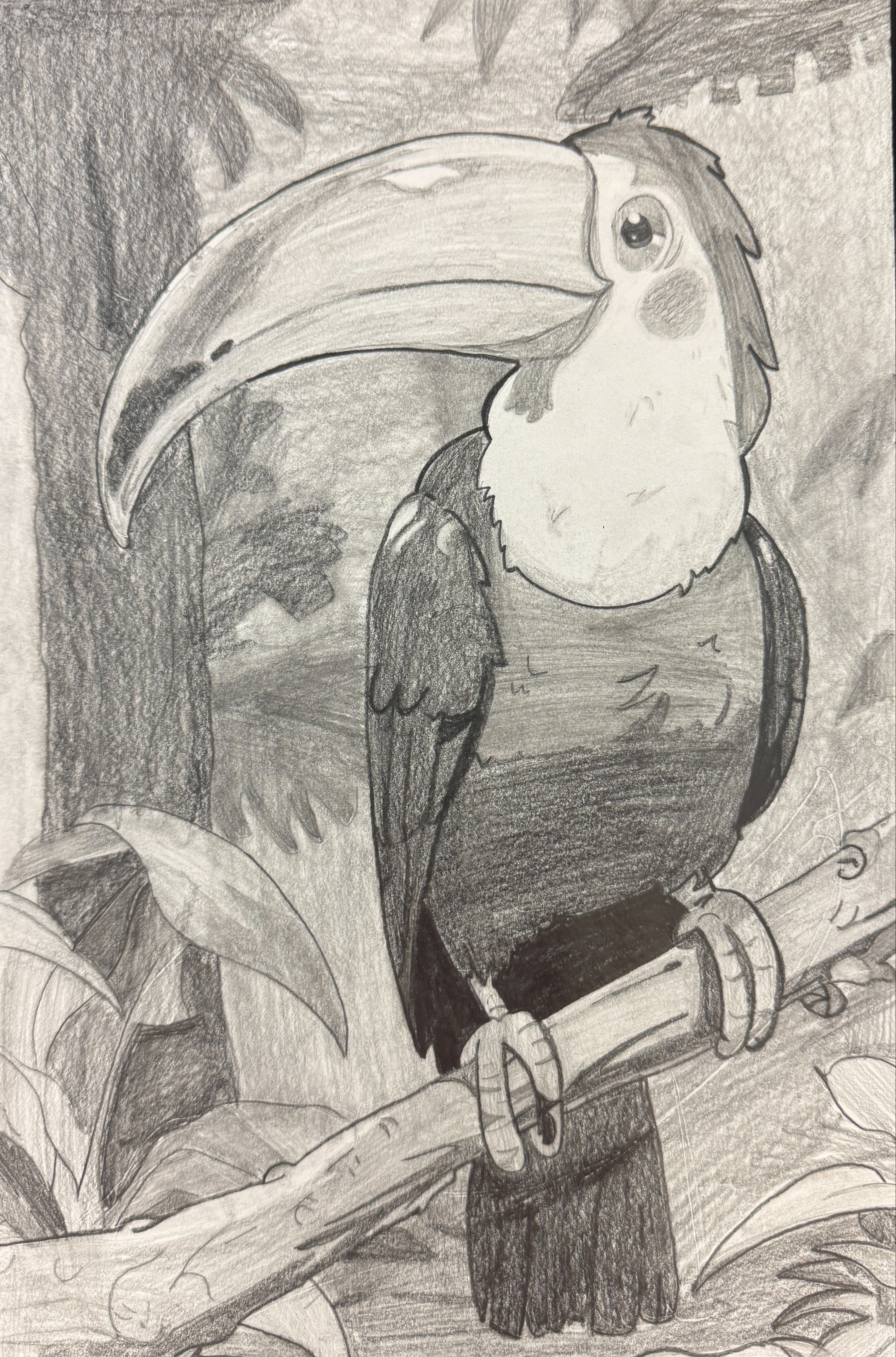 toucan