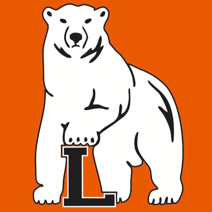 bear.jpg