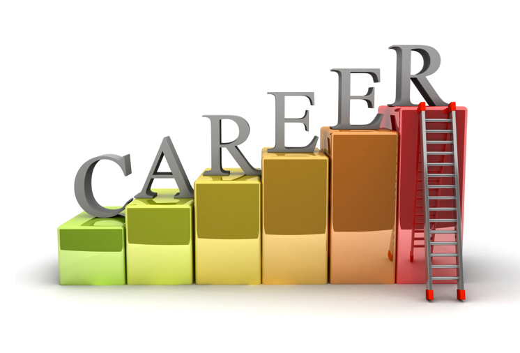 Career