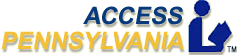 APA logo