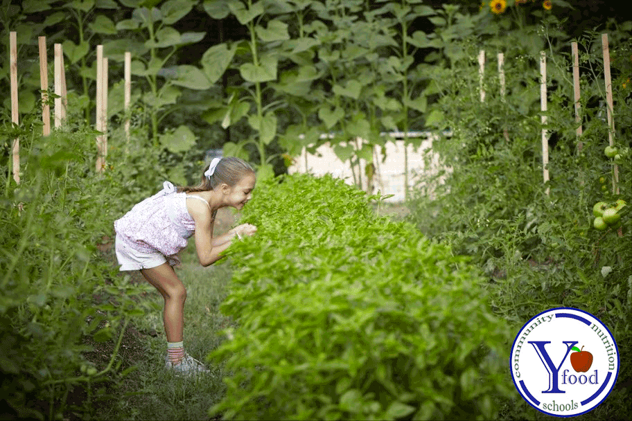 photo of child picking something out of a garden