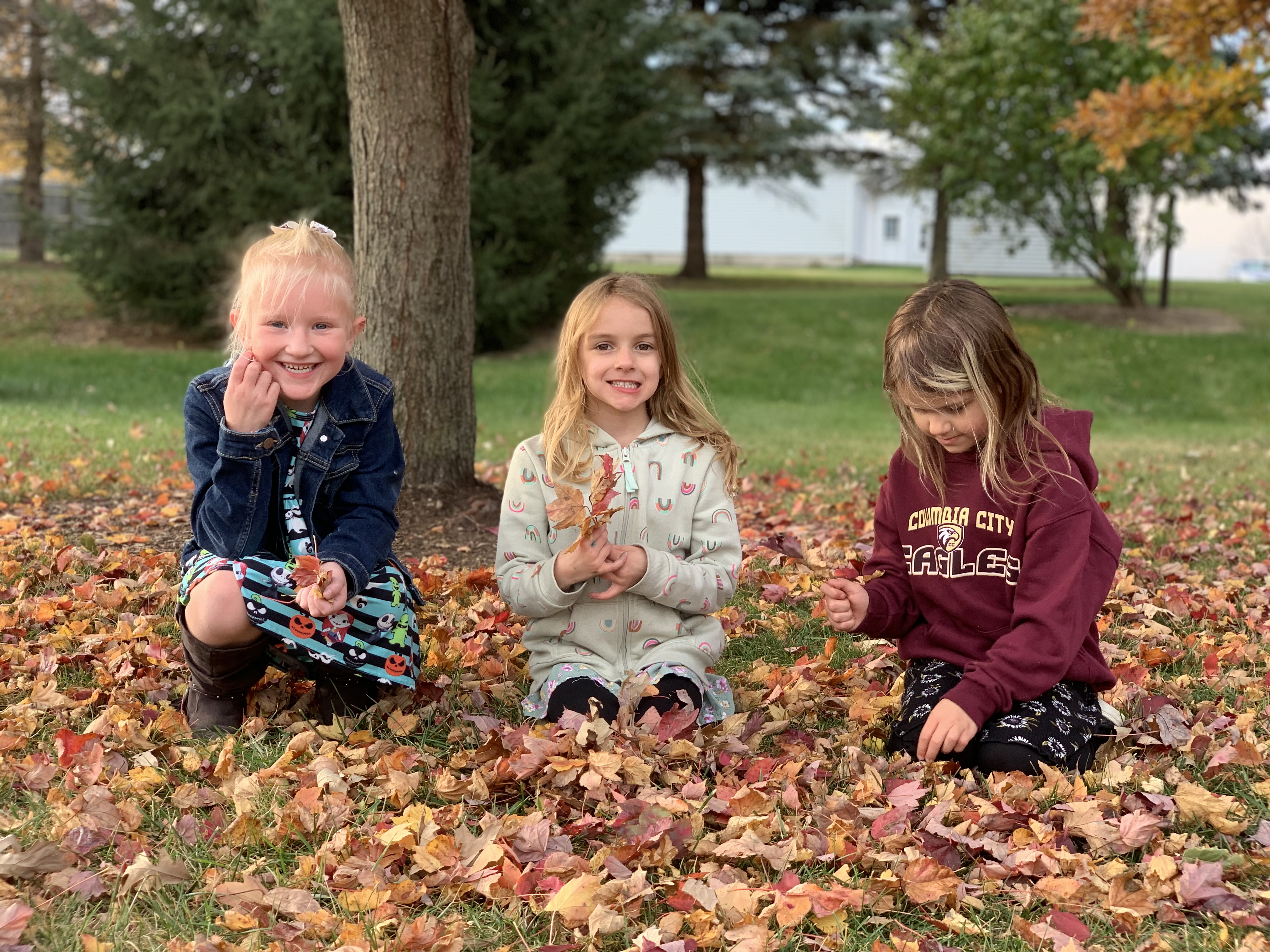 students playing in leaves