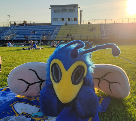 Buzz relaxing on field