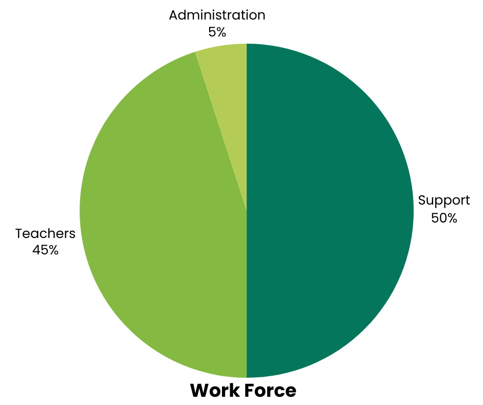 pie chart
