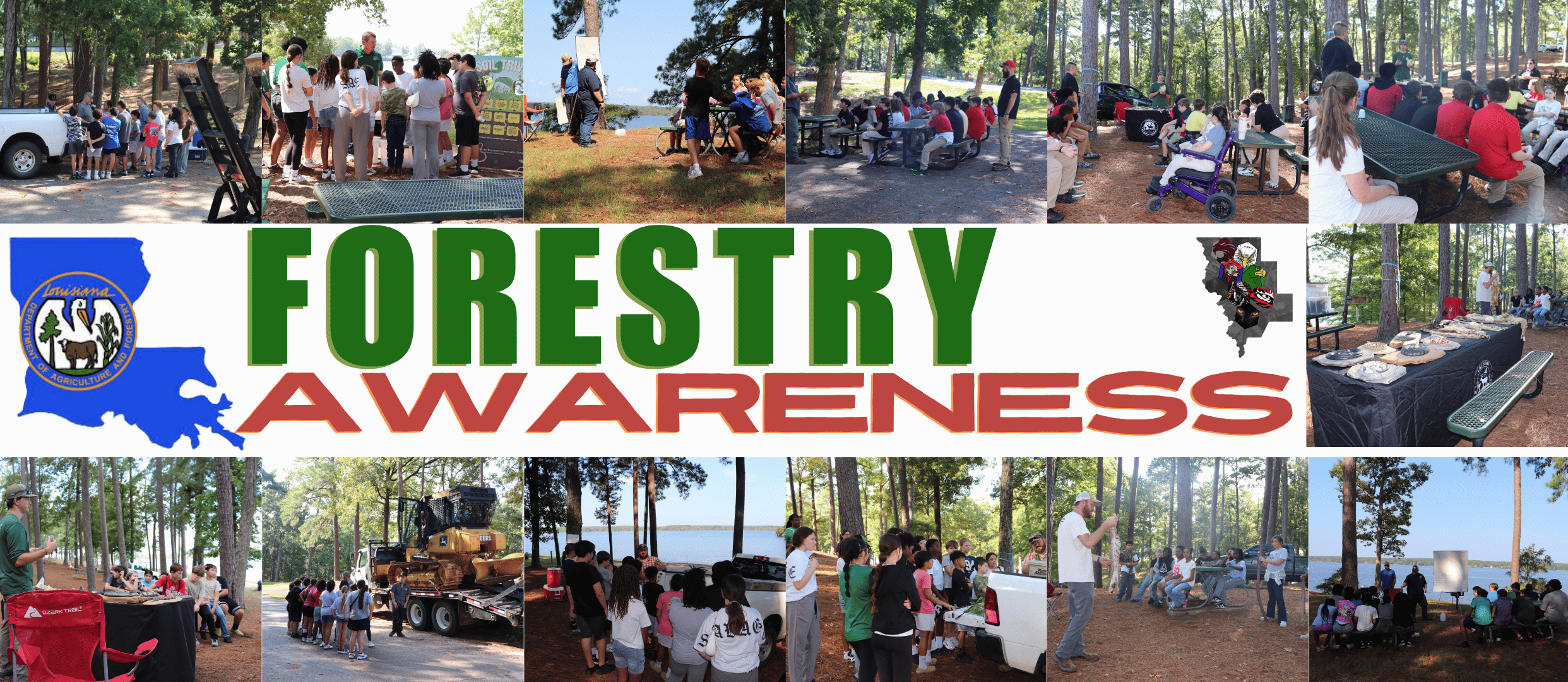 forestry