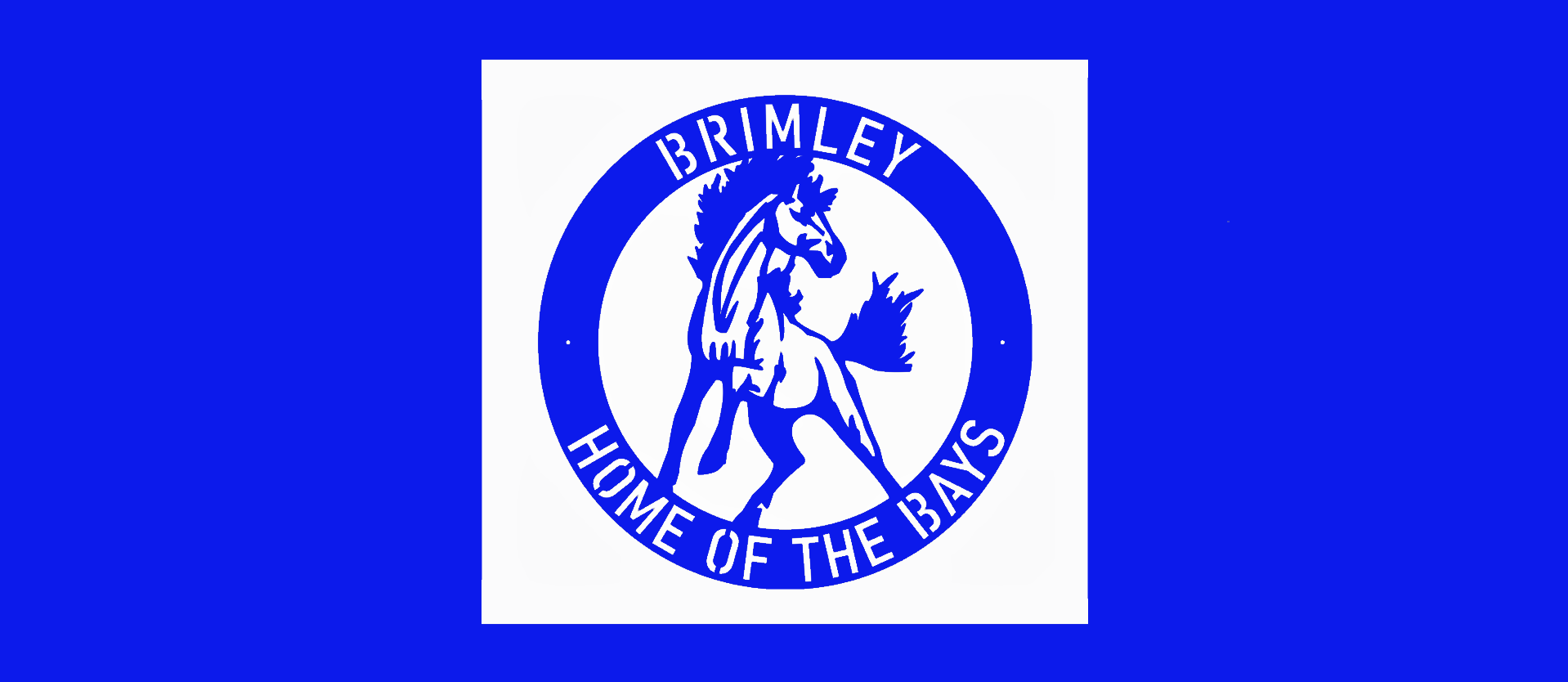 brimley home of the bays