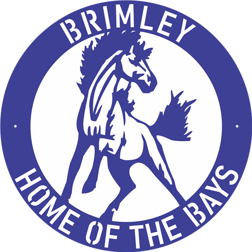 Athletic Director Brimley Area Schools