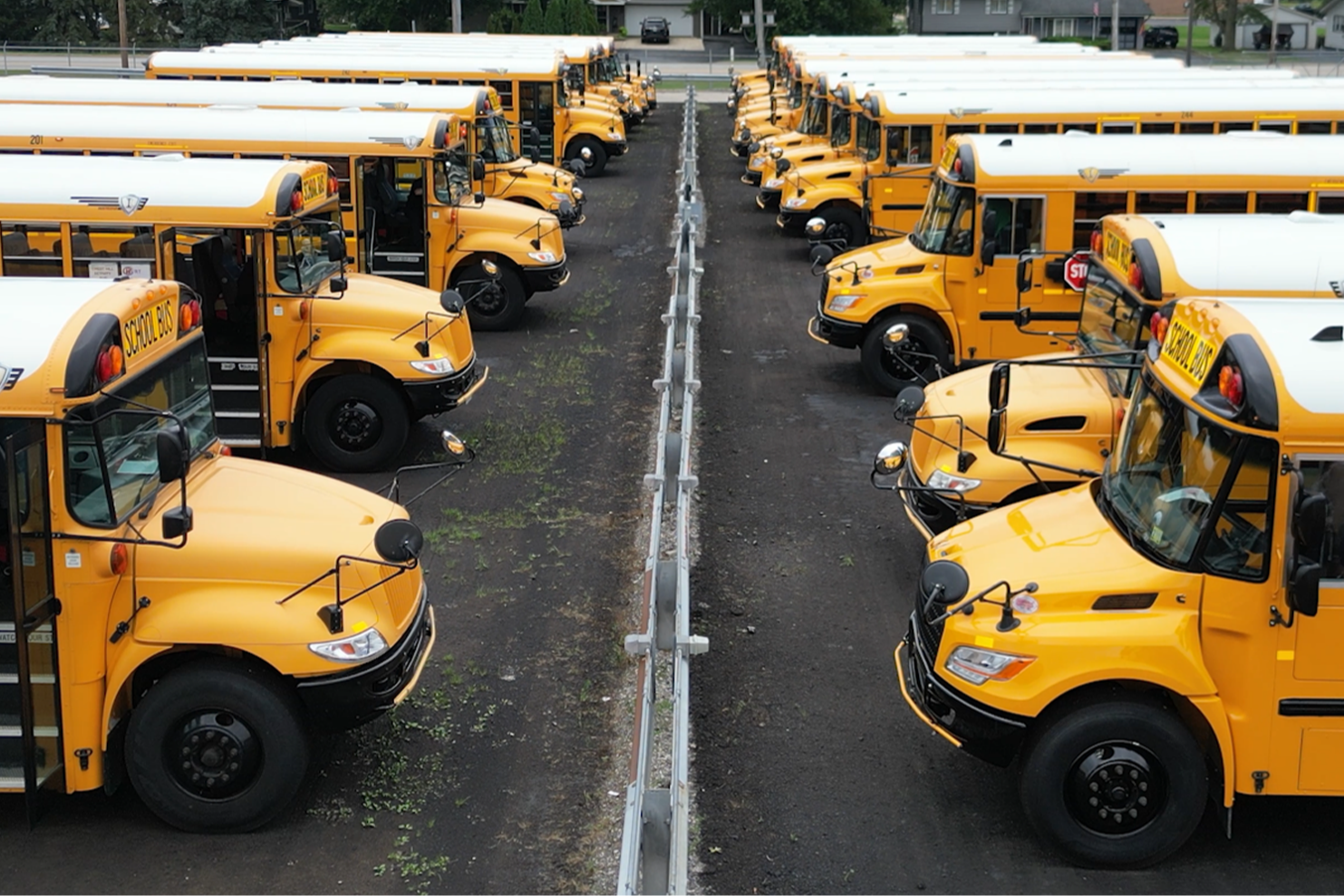 Bus Routes in Action