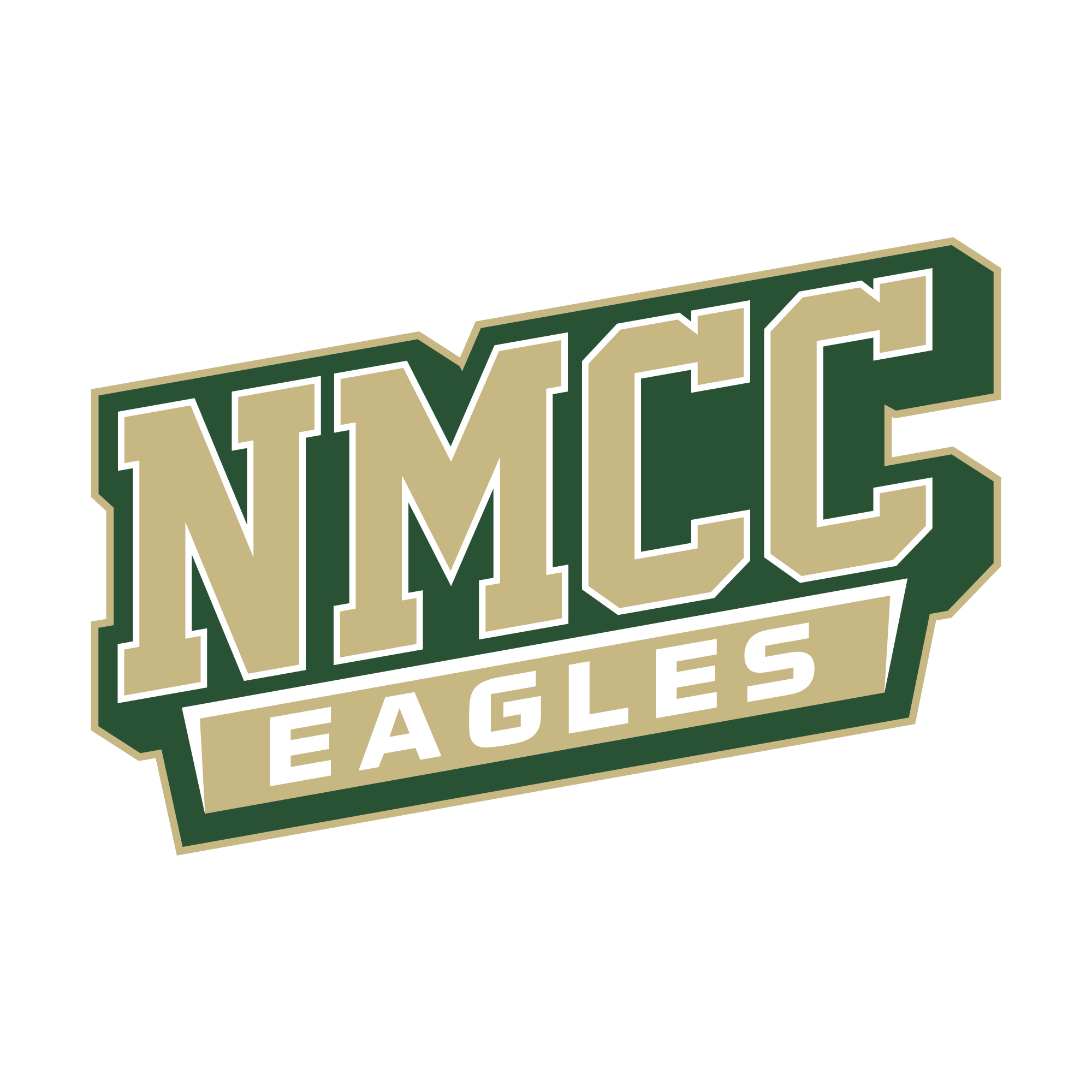 nmcc eagles logo