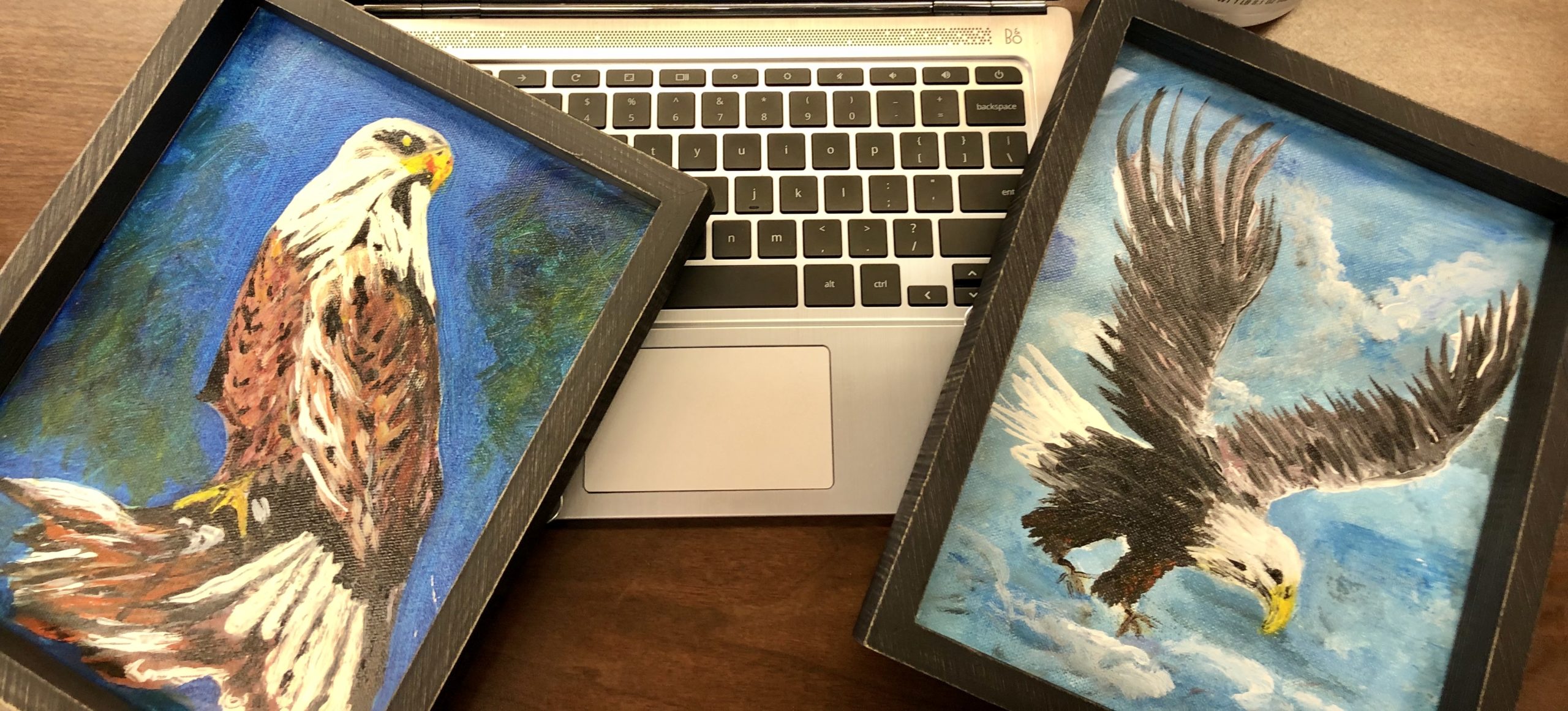 chromebook and eagle picture