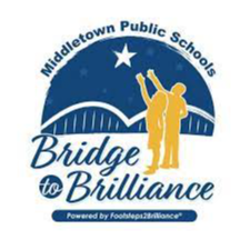 Bridge to Brilliance Logo