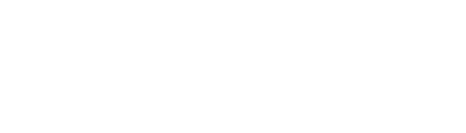 Apple Distinguished School