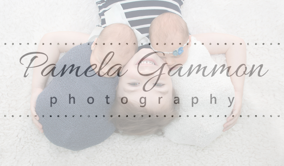 pamela gammon photography