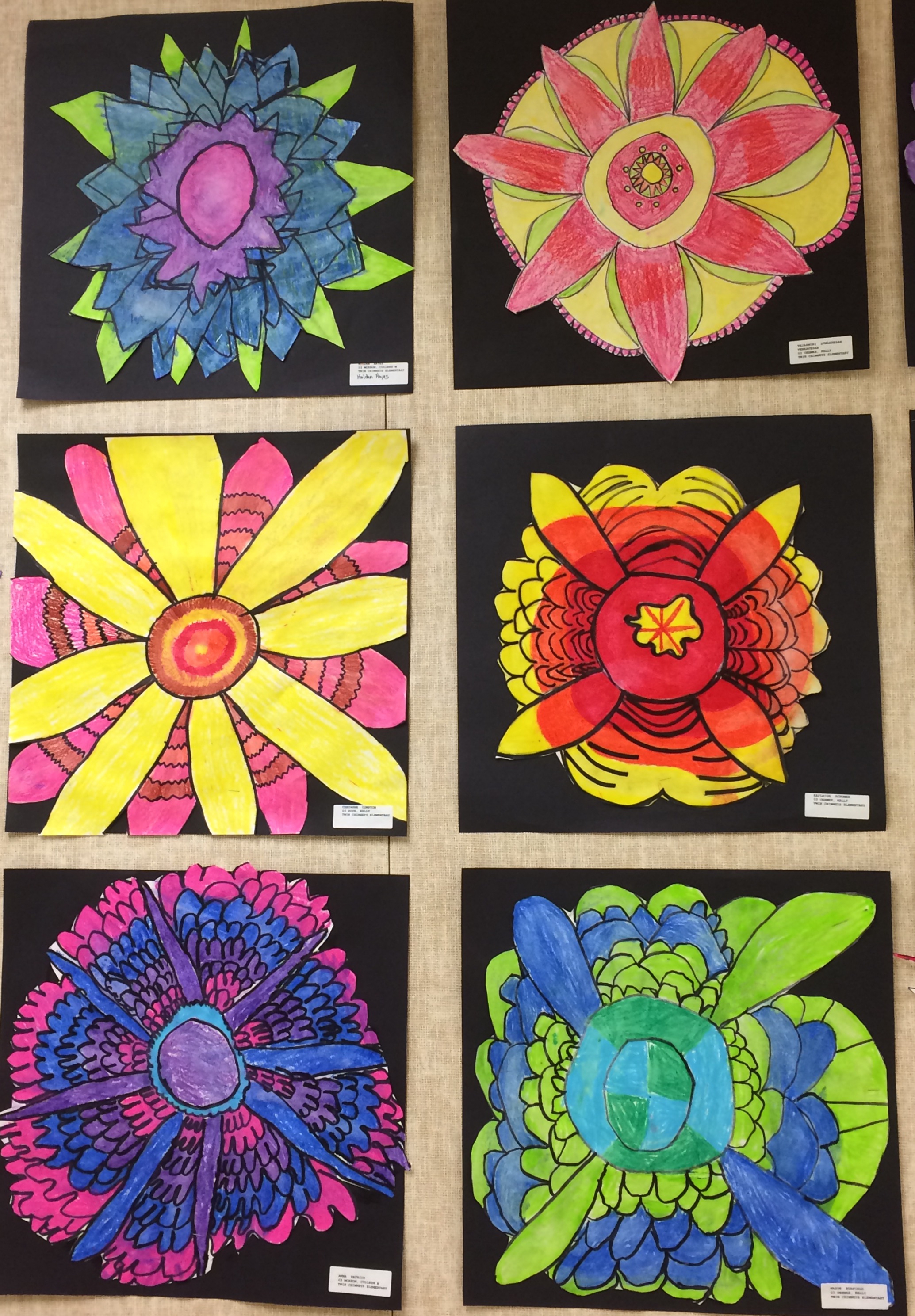 Student Artwork throughout the Building | Twin Chimneys Elementary School