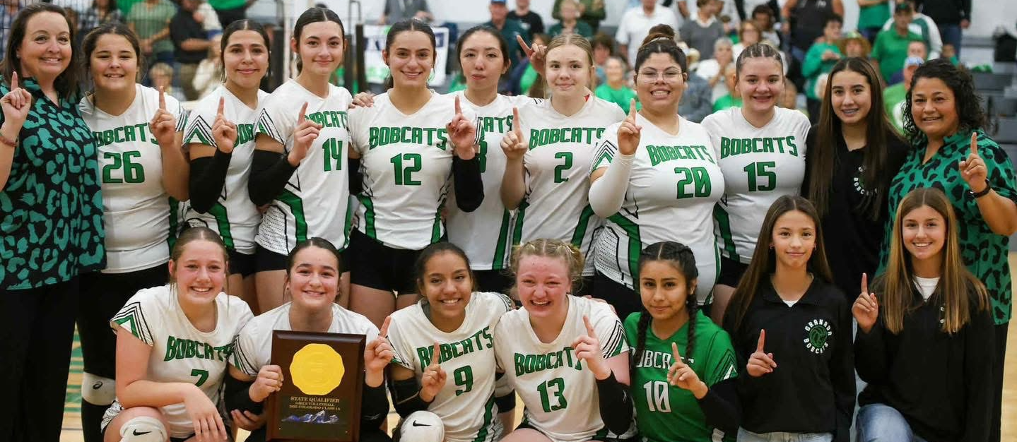 HS Girls Volleyball Region 5 champions 