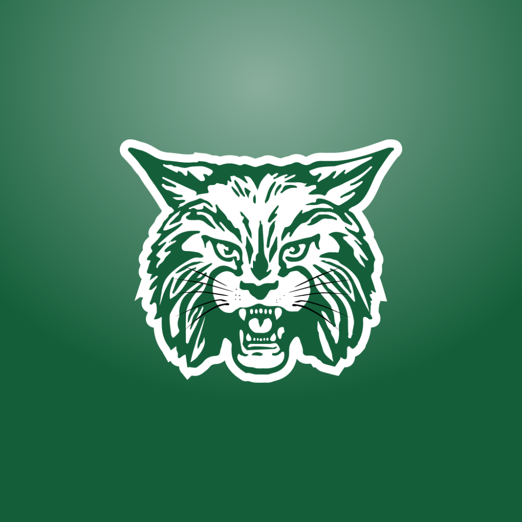 bobcat head