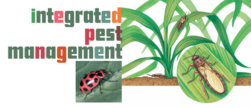 Integrated Pest Management header