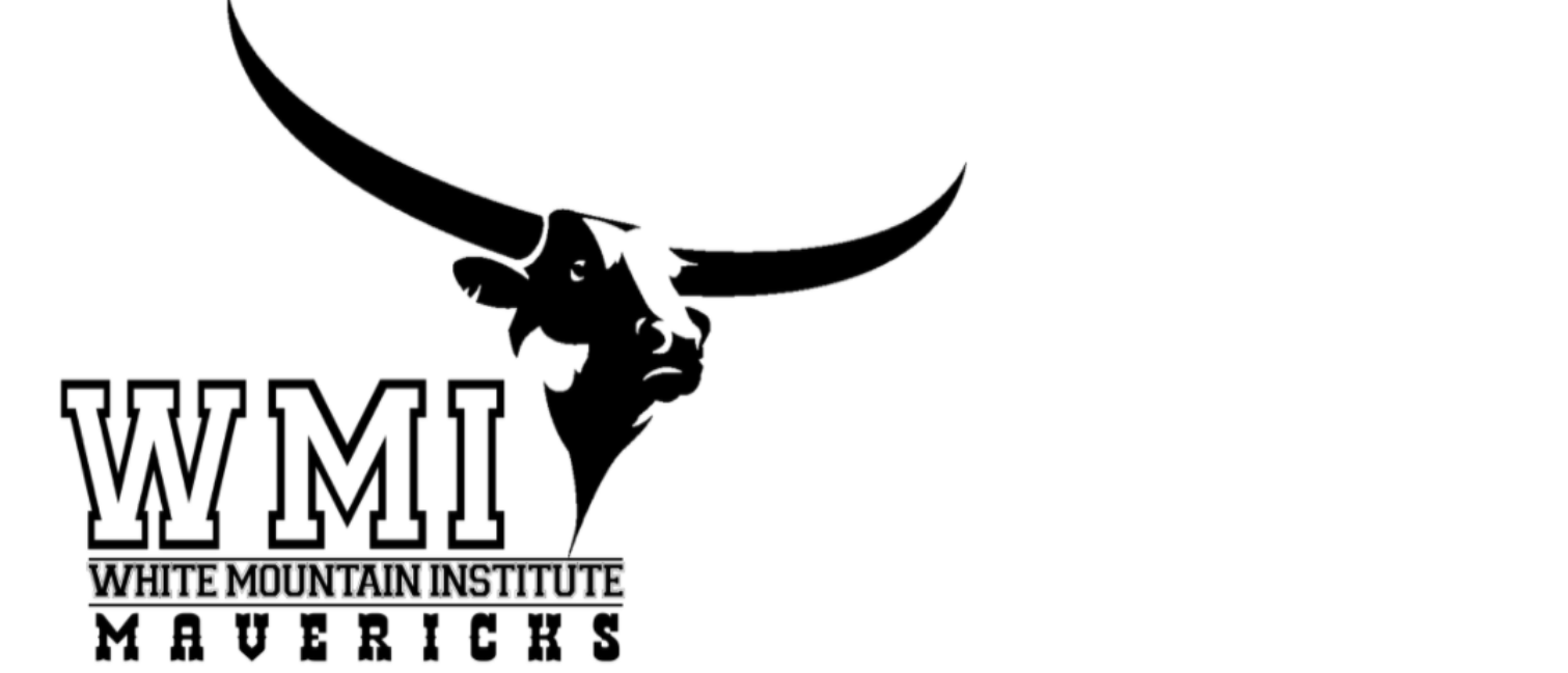 White Mountain Institute mavericks logo