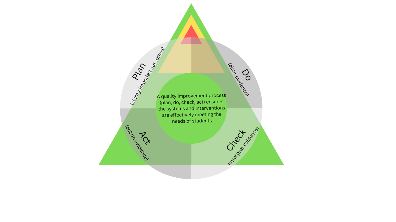 Georgia MTSS model