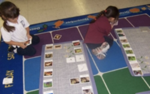students learning with activities