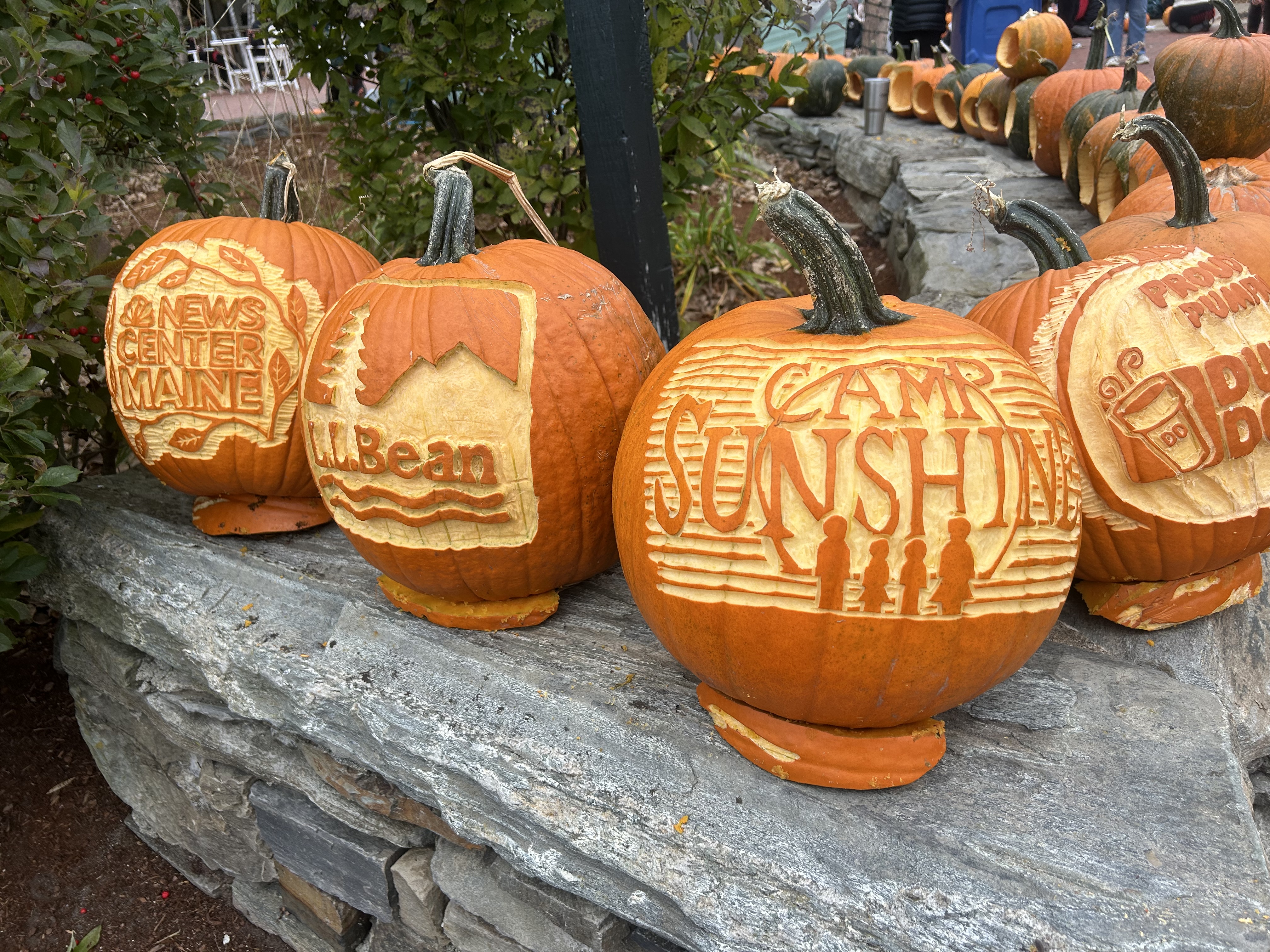 Image of carved pumpkins